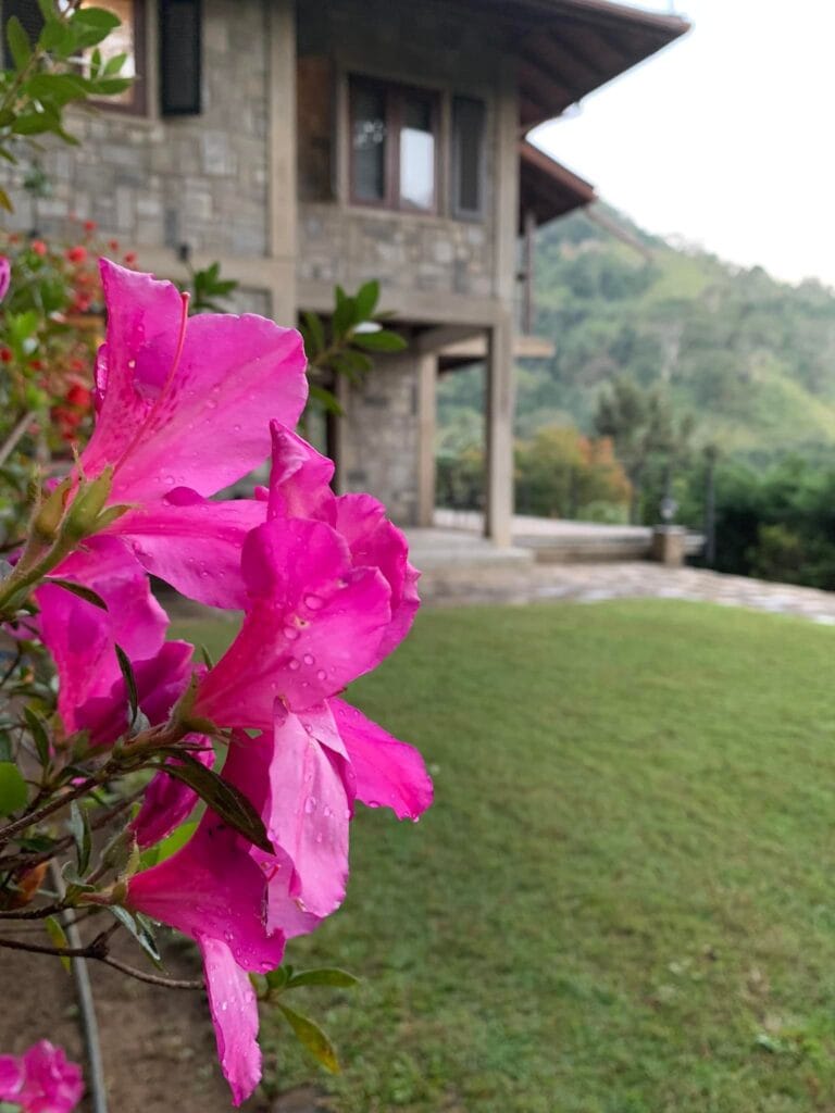 515437179_10213621562089670_3301876389841906152_n