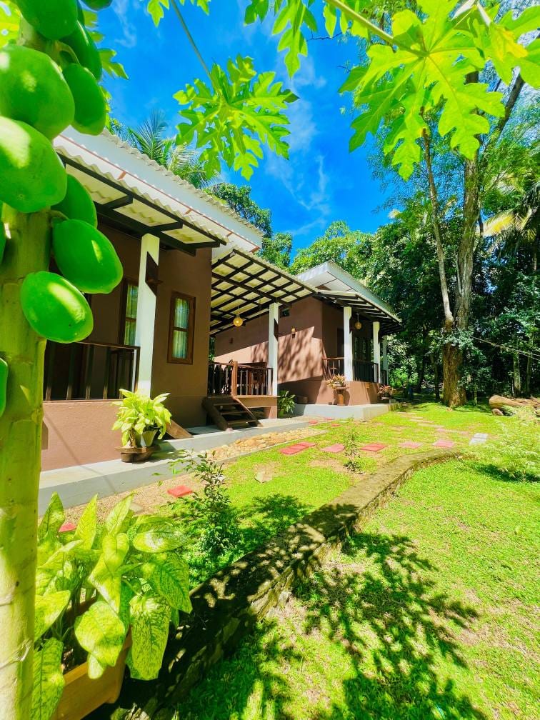 515895285_710032448511665_6892006013758437196_n