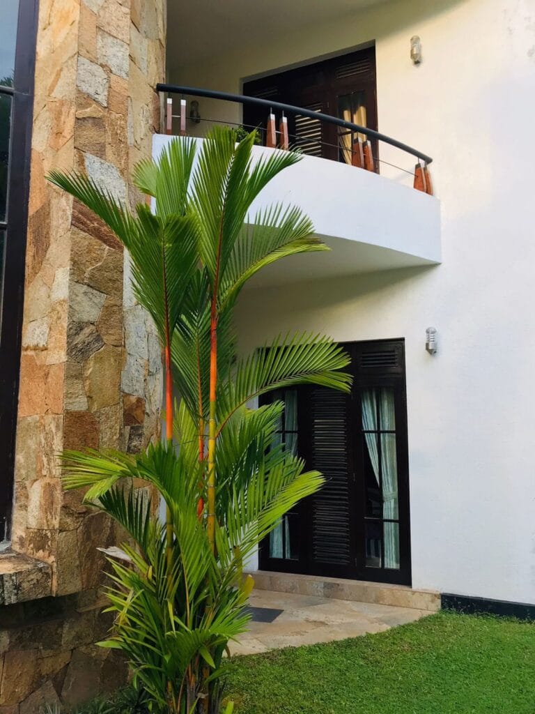 516309351_1516229429788810_7477245665049907090_n