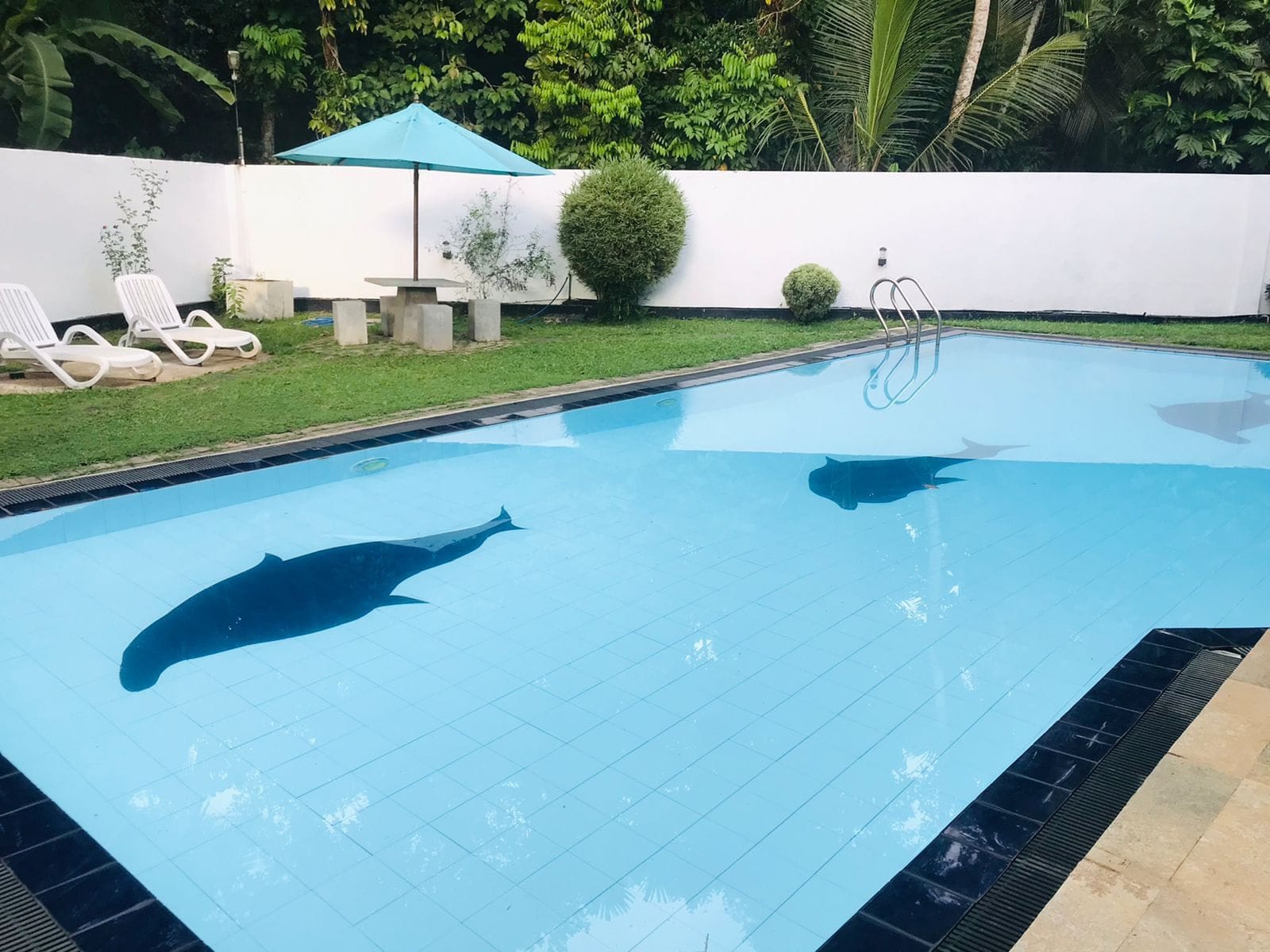 516317954_1516229413122145_3104497696559929310_n