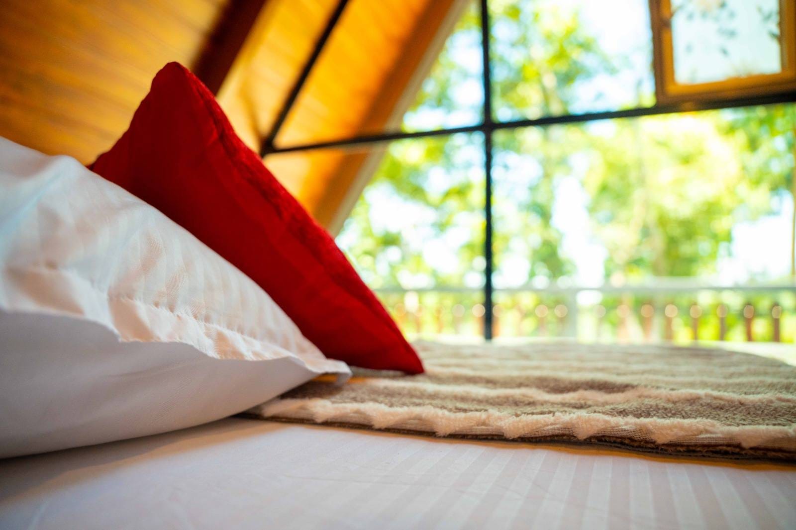 516550746_122115333452906505_4237881374329936063_n