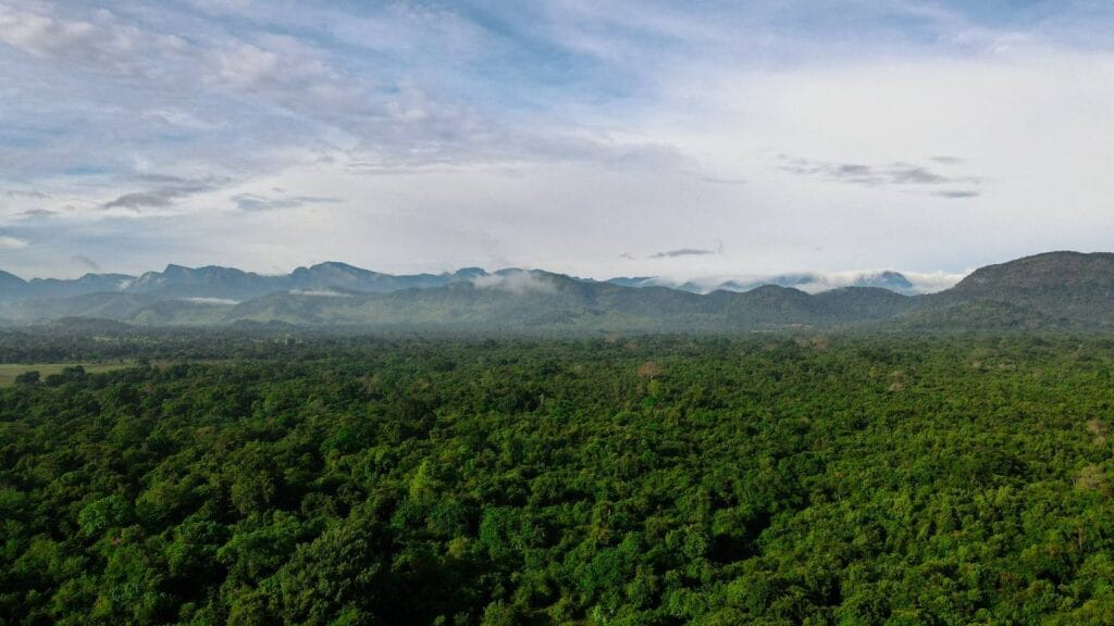 516859585_714533791394864_5956162434249588060_n