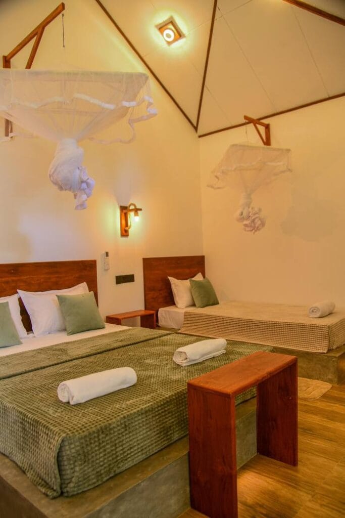 516874441_710033681844875_1466438649607375310_n