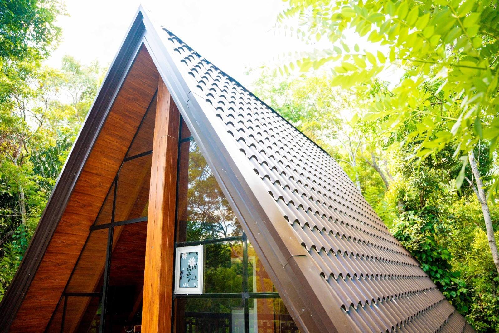 516875493_122115333596906505_3120312973769386805_n