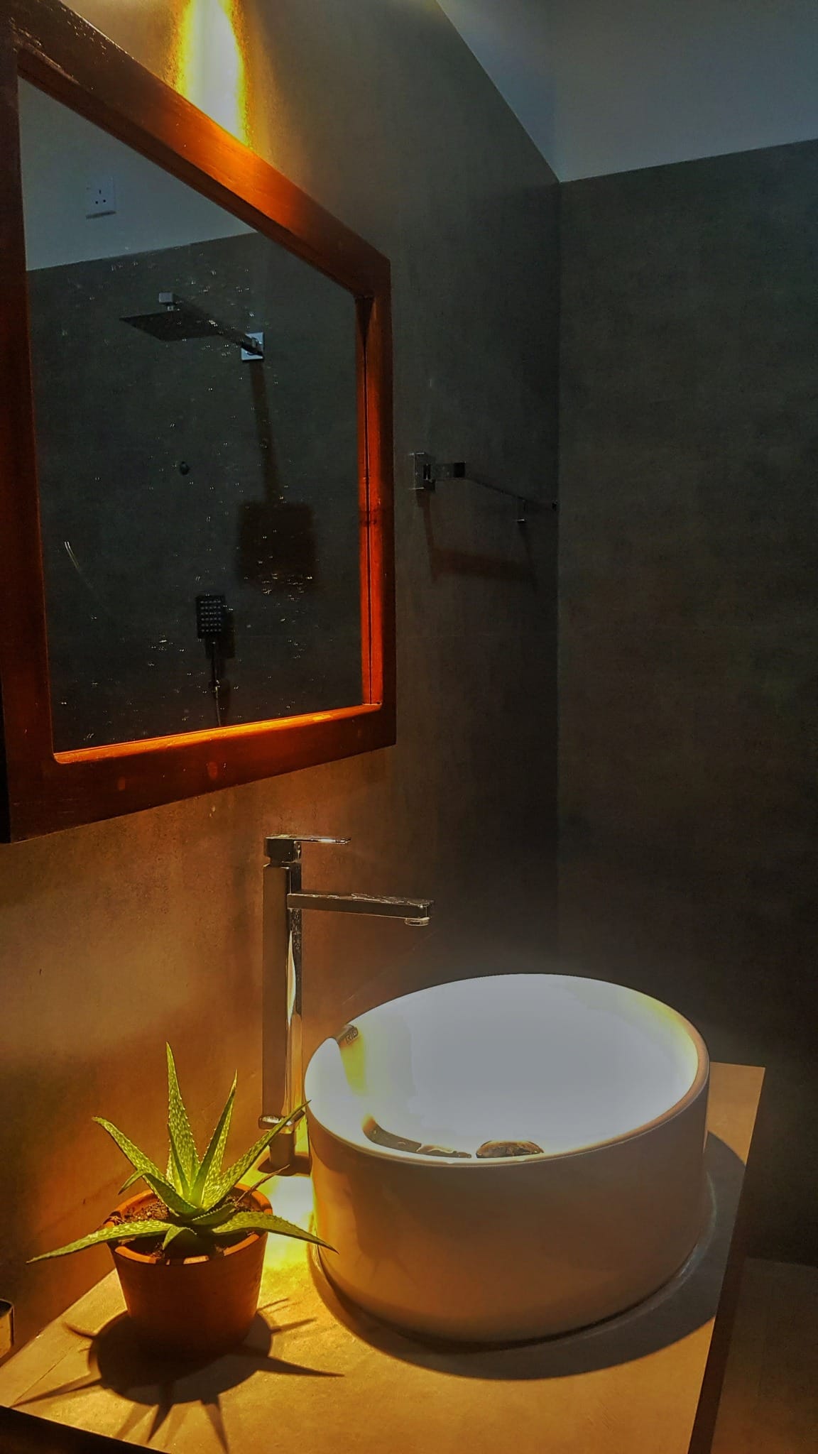 517126928_2463623237350732_2497686846669454713_n