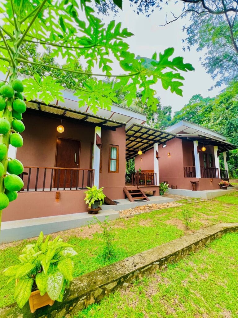 517152909_710035805177996_7942236595633473744_n