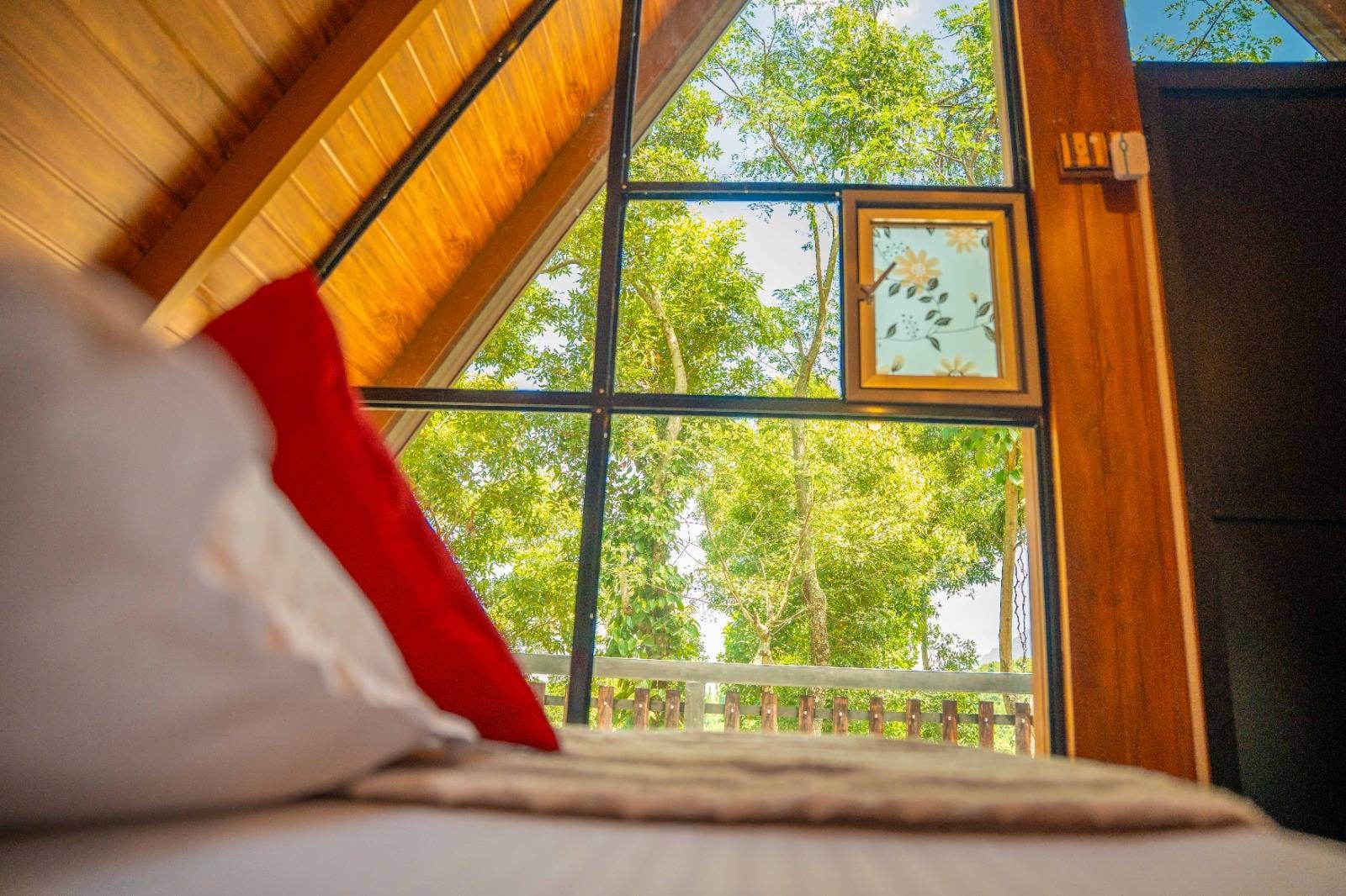 517398622_122115333074906505_354744560300623684_n