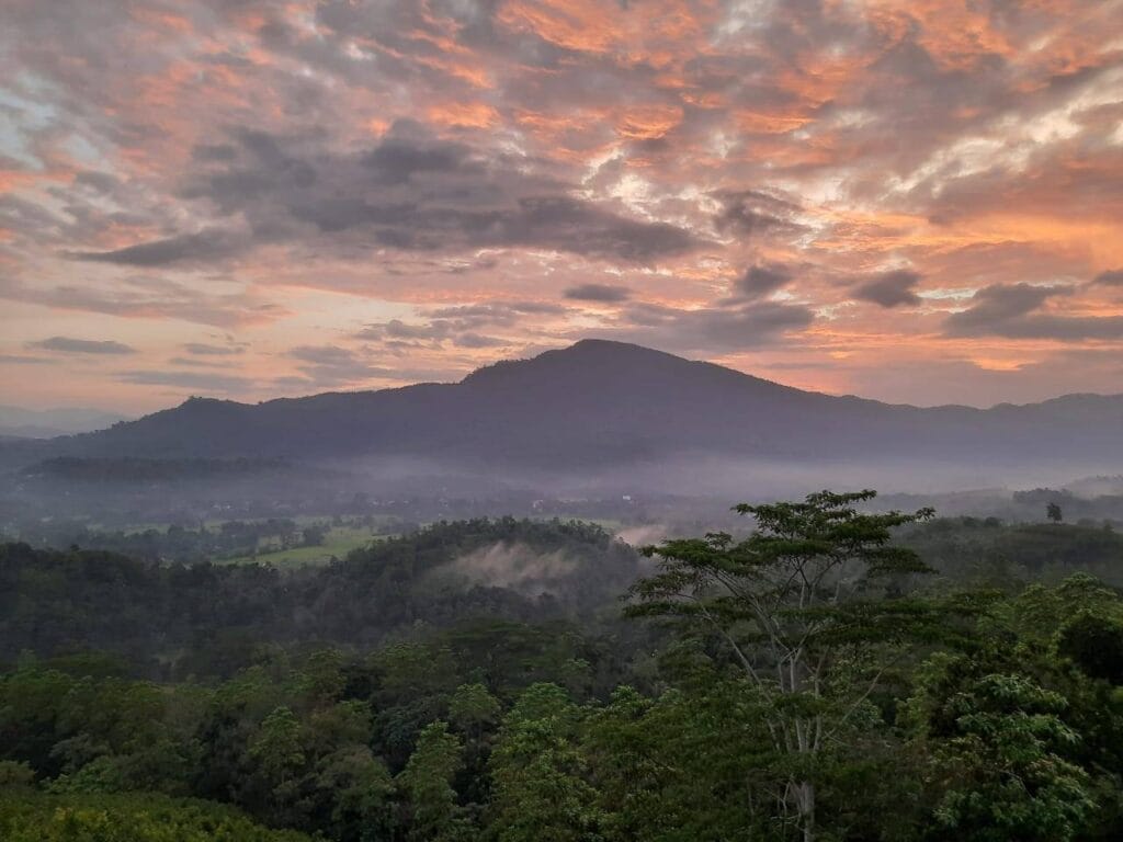 517697404_714772044704372_1191316122629721107_n