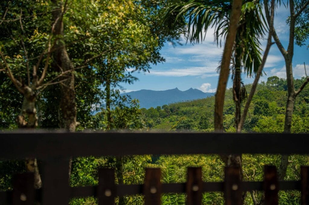 518081192_122115333554906505_4400818743969851189_n