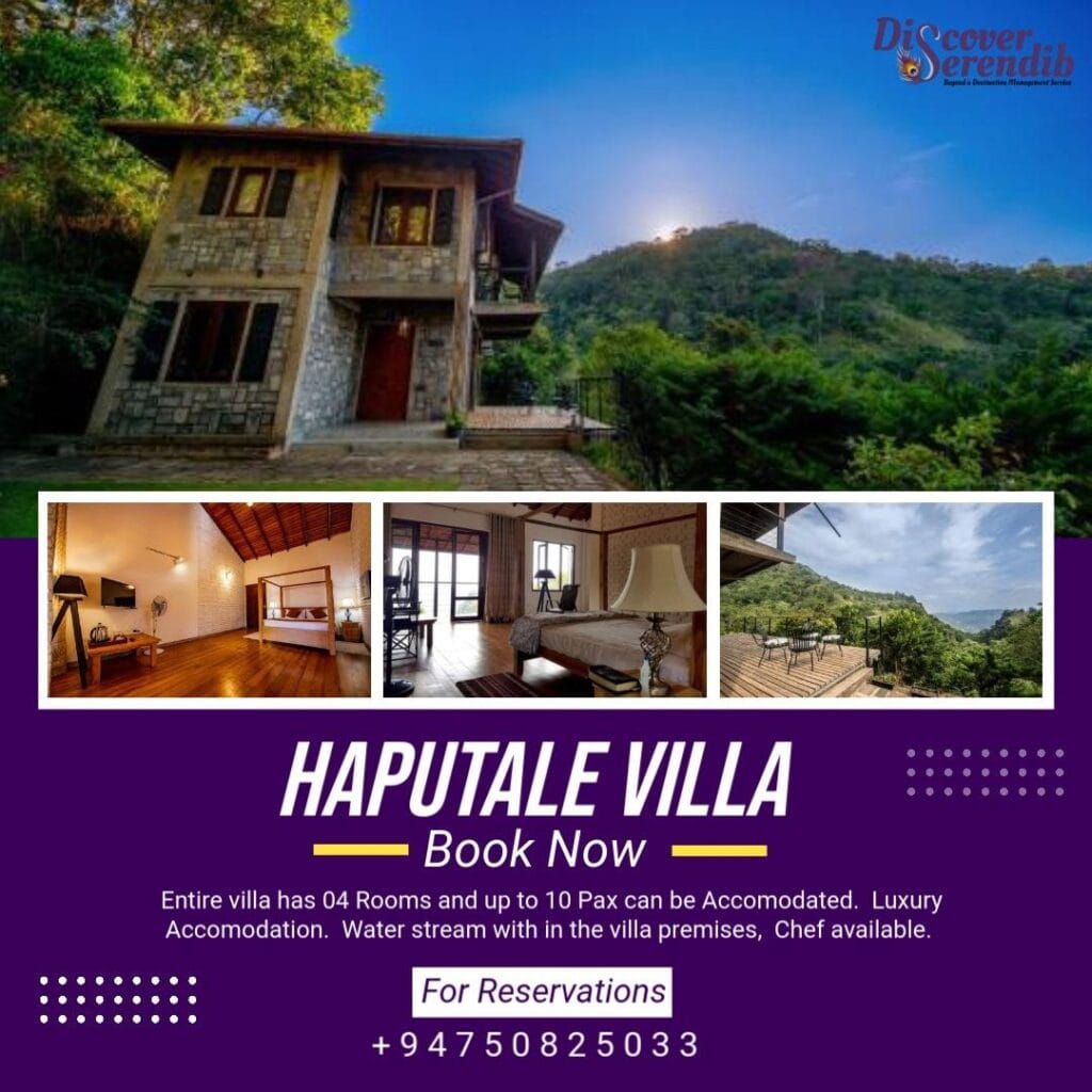 518326772_10213621543809213_1008586471215826348_n