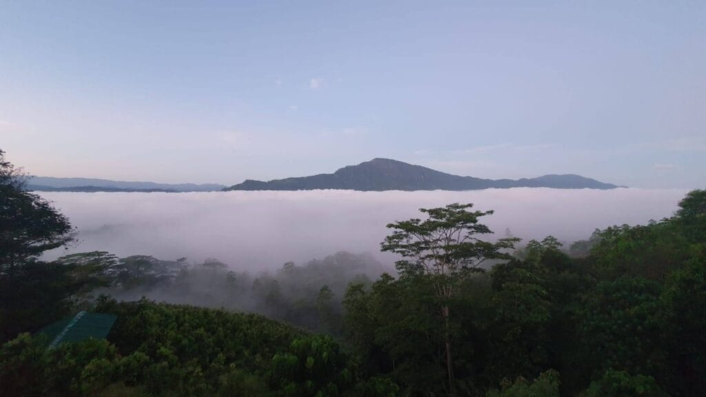 520379986_714771751371068_7335128510384387435_n