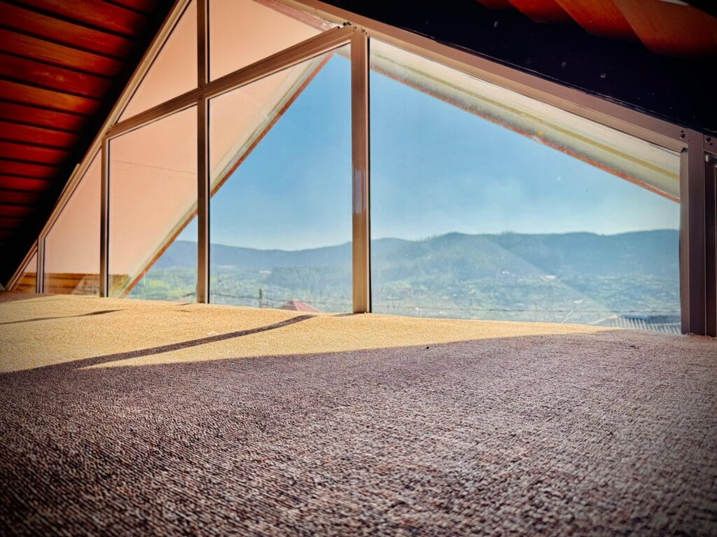 523204601_1304904794969639_1993153134001125259_n