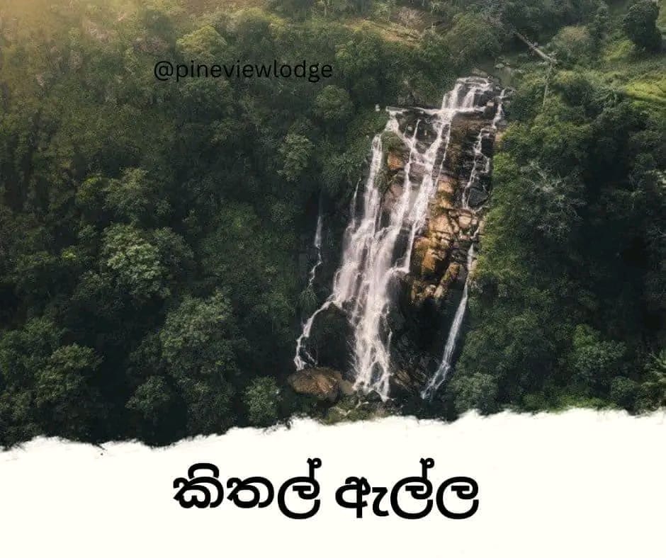 612b2c60-c672-4e34-9658-5d7bcfb333c0