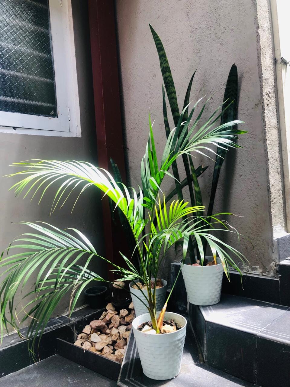 6df24fce-5952-4720-bc81-ac8ac193db96