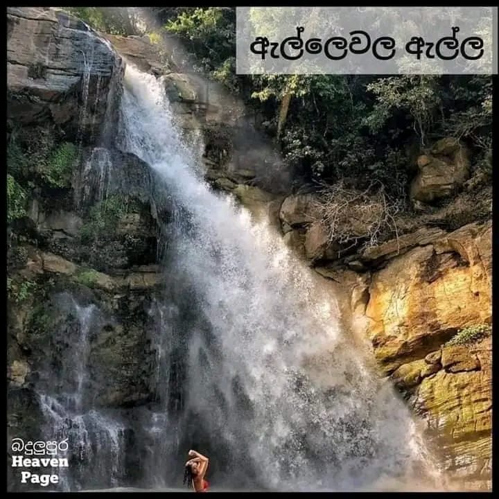 b0597983-8d3d-438b-b480-320e07c65087