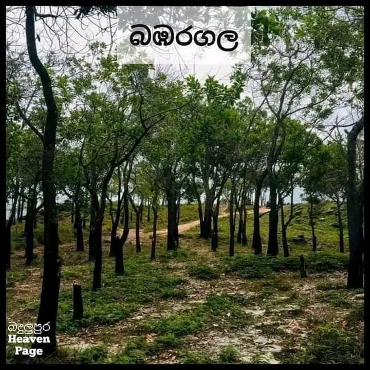 e0689e46-140d-42b5-a52a-f13e0b5d8a94