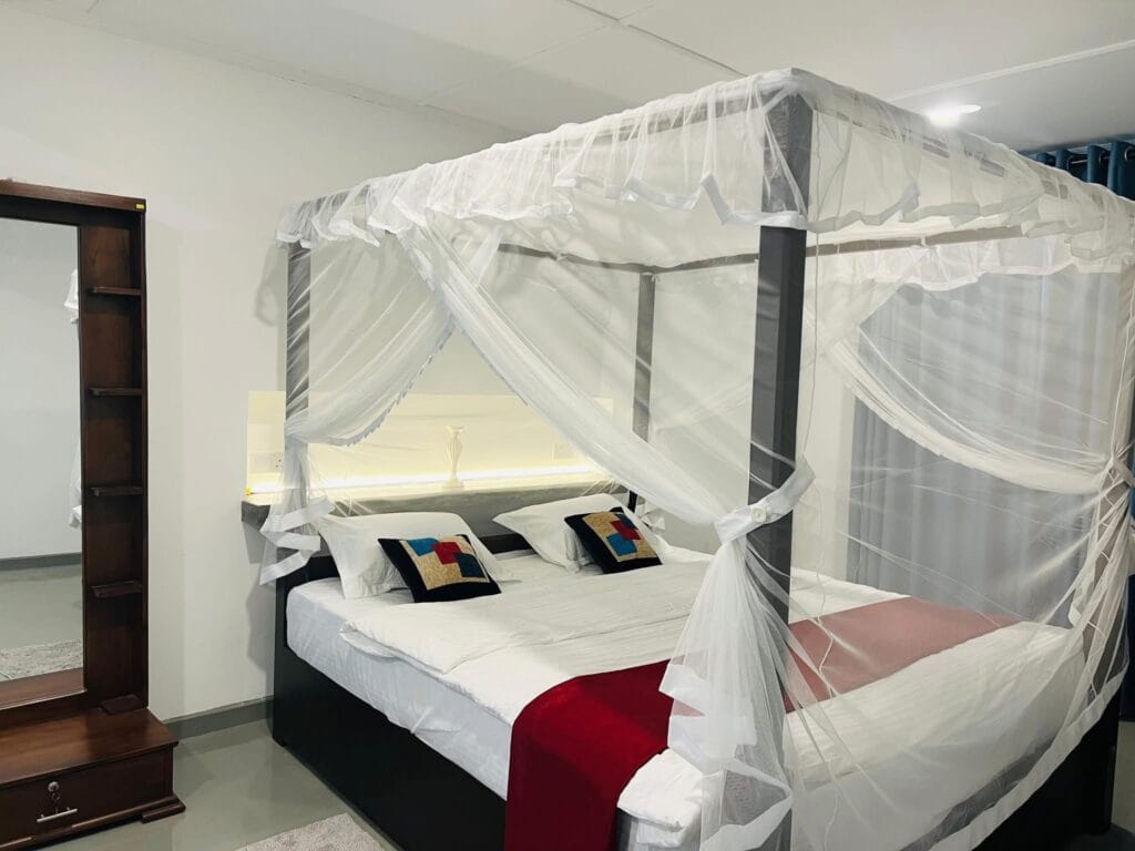 528763922_1318499926943459_5890684875146987124_n